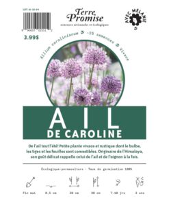 Ail de Caroline