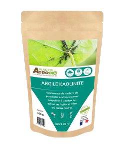Argile kaolinite 300g