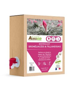 Biostimulant broméliacées et tillandsias 3L