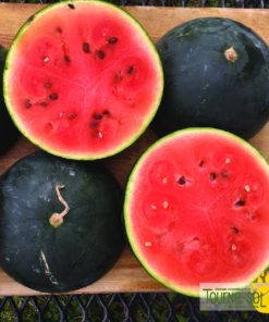 Melon d’eau Blacktail Mountain